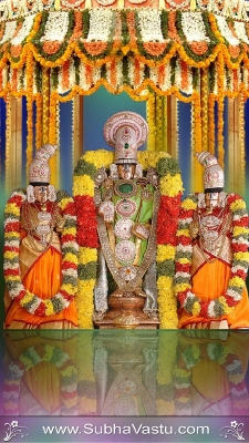 Balaji Cell_41