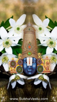 Balaji Cell_6