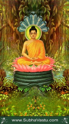 Buddha Mobile Wallpapers_241
