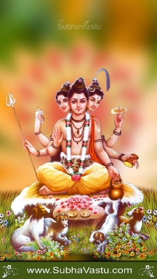 Lord Dattatreya Mobile Wallpaper_69