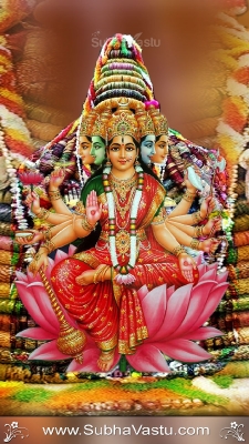 Gayathri Mobile Wallpaper_195