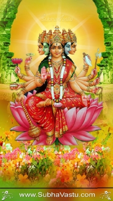 Gayatri Mobile Wallpaper_204