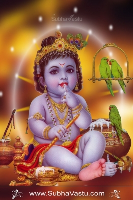 Krishna Mobile Wallpapers_1024