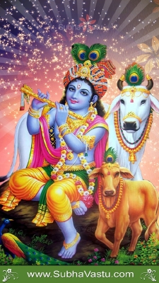 Krishna Mobile Wallpapers_1066
