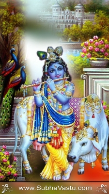 Krishna Mobile Wallpapers_1753