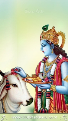 Krishna Mobile Wallpapers_1869