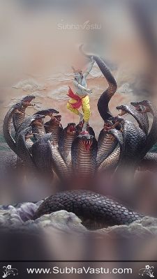 Krishna Mobile Wallpapers_1979