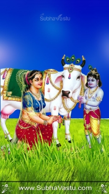 Krishna Mobile Wallpapers_482