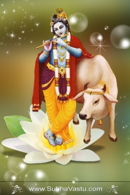 Krishna Mobile Wallpapers_991