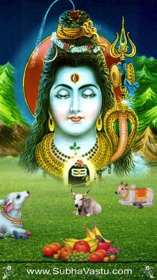 Lord Siva Mobile Wallpapers_1040