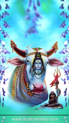 Shiva Mobile Wallpapers_931