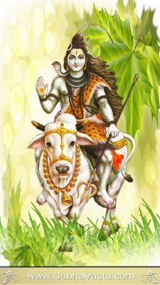 Siva Mobile Wallpaper_171