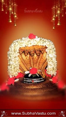 Siva Mobile Wallpaper_178