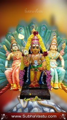 Lord Subramanya Mobile Wallpapers_439