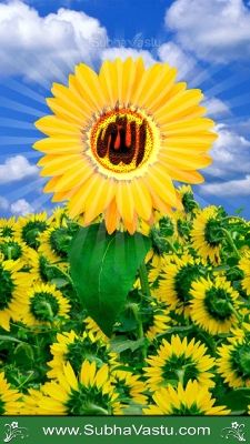 Islam Mobile Wallpapers_284