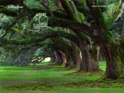 Ganesha-1024X768_372