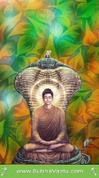 Buddha Mobile Wallpapers_317