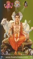 Dattatreya Mobile Wallpapers_378
