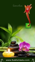 Cellphone Wallpapers