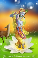Krishna Mobile Wallpapers_1005