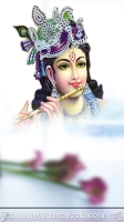 Krishna Mobile Wallpapers_806
