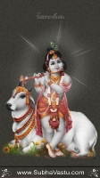 Krishna Mobile Wallpapers_811