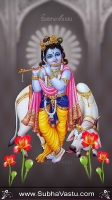 Krishna Mobile Wallpapers_817