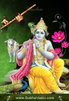 Krishna Mobile Wallpapers_995