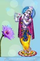 Krishna Mobile Wallpapers_998