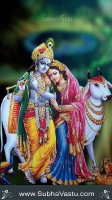 Lord Krishna Mobile Wallpapers_2477