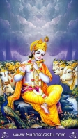 Lord Krishna Mobile Wallpapers_2480