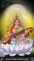 Saraswathi Mobile Wallpapers_103