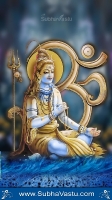 Siva