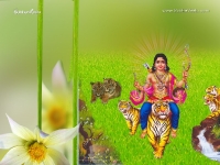 1024X768-AyyappaDesktopWallpapers_68
