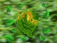 Ganesha-1024X768_445