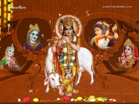 Krishna