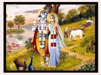 Krishna-1024X768_549