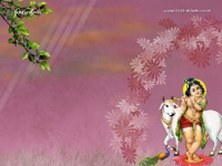 Krishna-1024X768_552