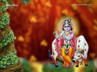 Krishna-1024X768_555