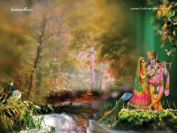 Krishna-1024X768_579