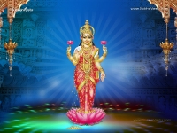1024X768-Lakshmi Wallpapers_475
