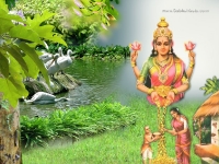 1024X768-Lakshmi Wallpapers_495