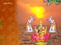 1024X768-Lakshmi Wallpapers_496