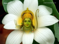 1024X768-SriRama_248