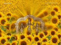 1024X768-SriRama_292