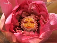 1024X768-SriRama_387