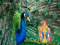 1024X768-Subramanya_135