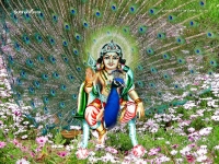 1024X768-Subramanya_69